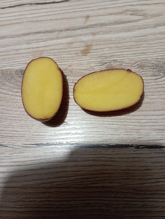 Ziemniaki jadalne i pozostałe