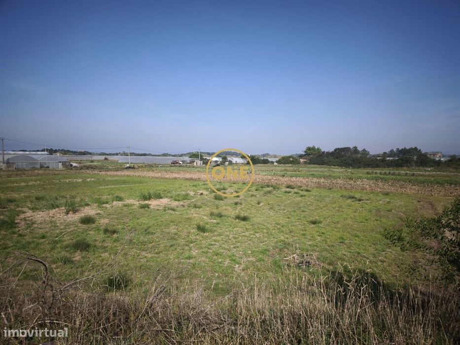 Terreno rústico em Estela