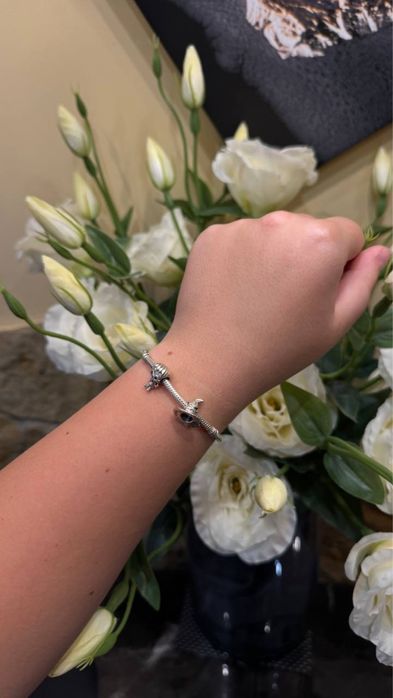 Браслет Pandora Harry Potter,Гаррі Поттер,Гаррі і Шляпа