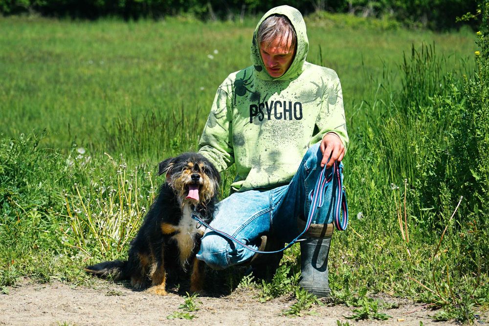 Zulus - mały, kudłaty piesek