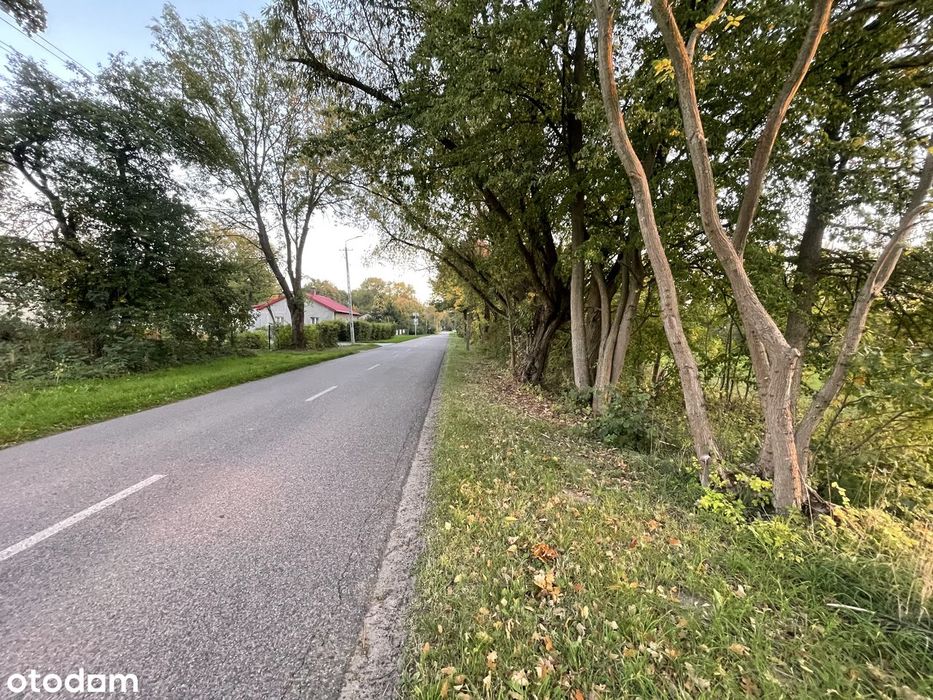 Działki budowlane w spokojnej okolicy z mediami - Widok 5