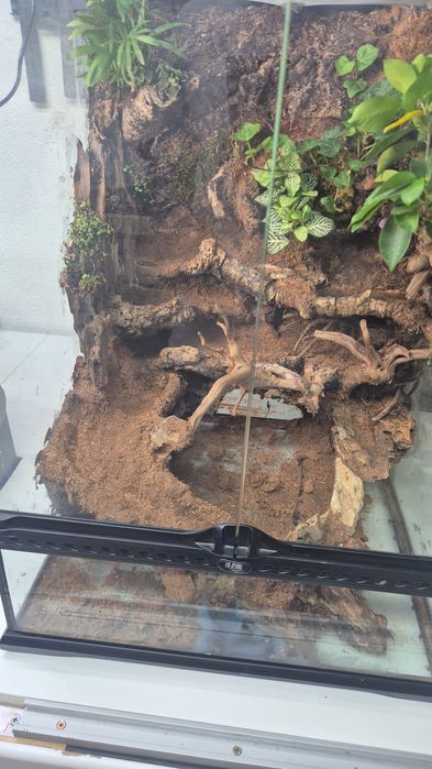 Terrarium Paludarium