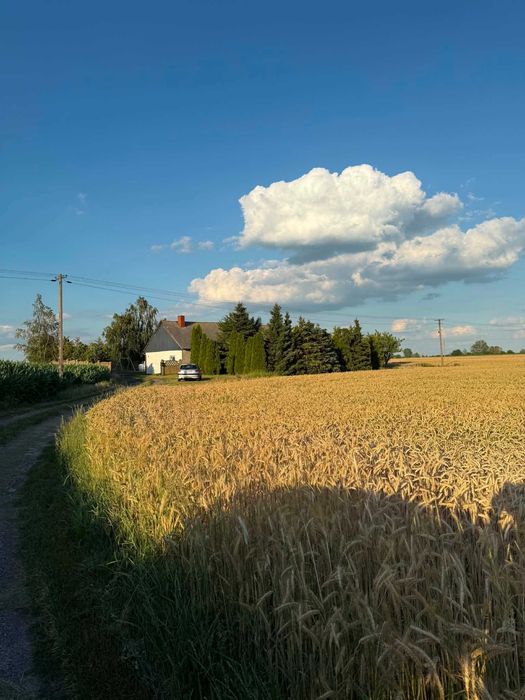Dom na sprzedaż Wójtówka gm. Bądkowo