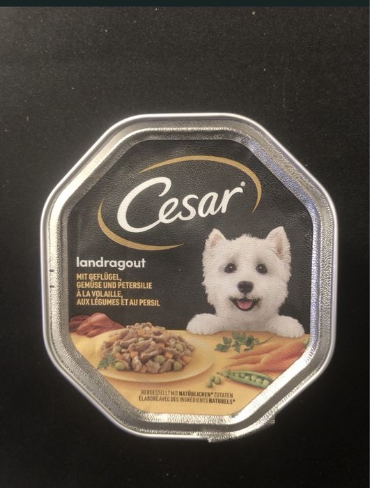 Cesar karma mokra  dla psiaka