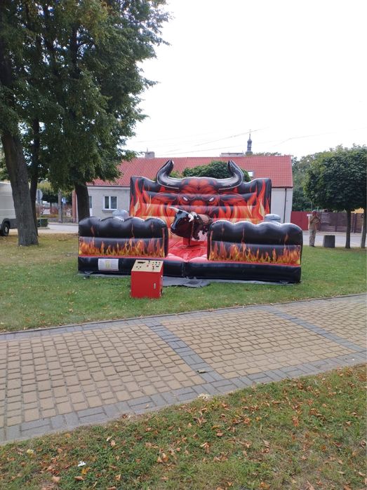 Byk rodeo -wynajem
