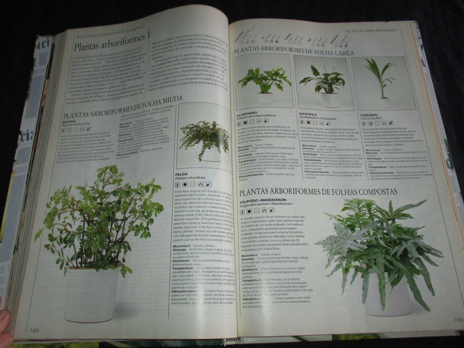 Livro O Jardim em Casa Plantas de Interior