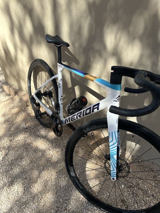 Merida scultura 6000