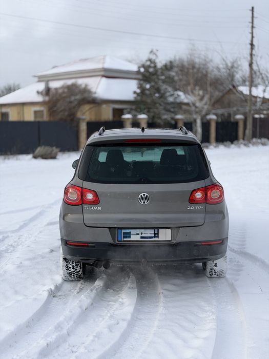 Volkswagen Tiguan 2009 год