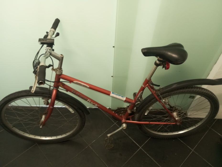 Vendo bicicleta por 180€