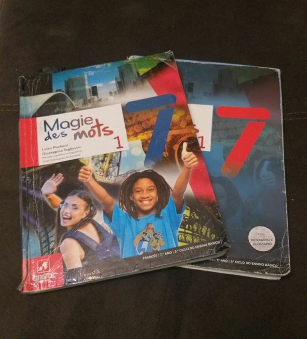 Livro de fichas de Geografia ,História ,Francês e o manual de Francês