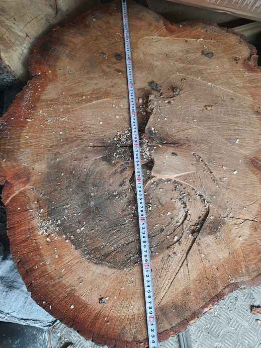 Plaster dębu duży gruby  105 /82 / 33 cm