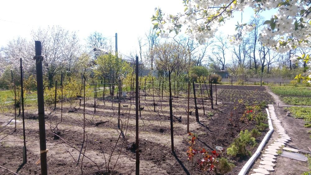 Продам Дачу Каневское 20 соток