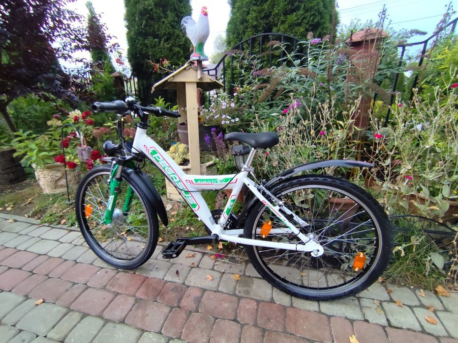 Rower Pegasus koła 24 zapraszanm