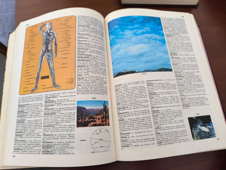 Dicionário Enciclopédico Koogan- Larousse - Seleções