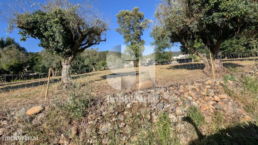Terreno a ser transformado em Quinta