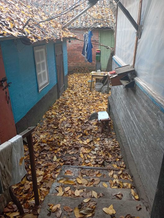 Будинок в Диканька ,опалення пічне+ газ,з енергонезалежним котлем