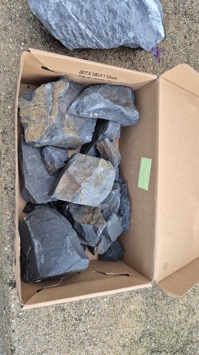 Rocha de aquario  Strideways