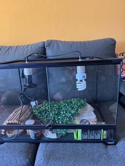 Terrario para Repteis