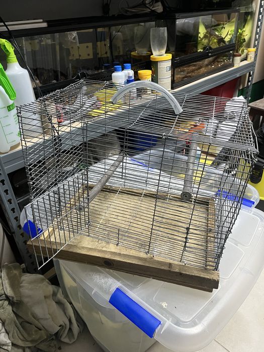 Gaiola para passaros