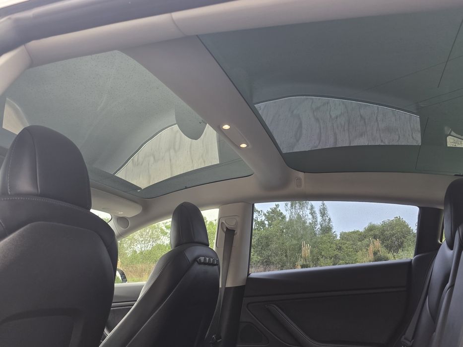 Tesla M3 2019 MidRange (задній )  модель 3 model тесла