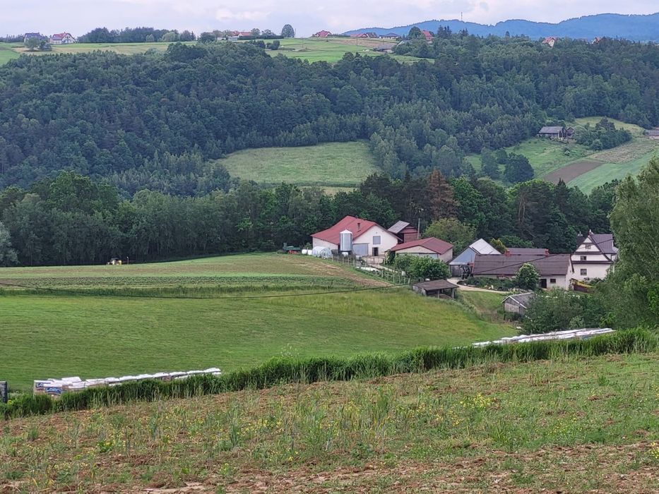 Działki budowlane z WZ