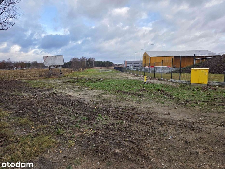 Wynajmę działkę 3000m2