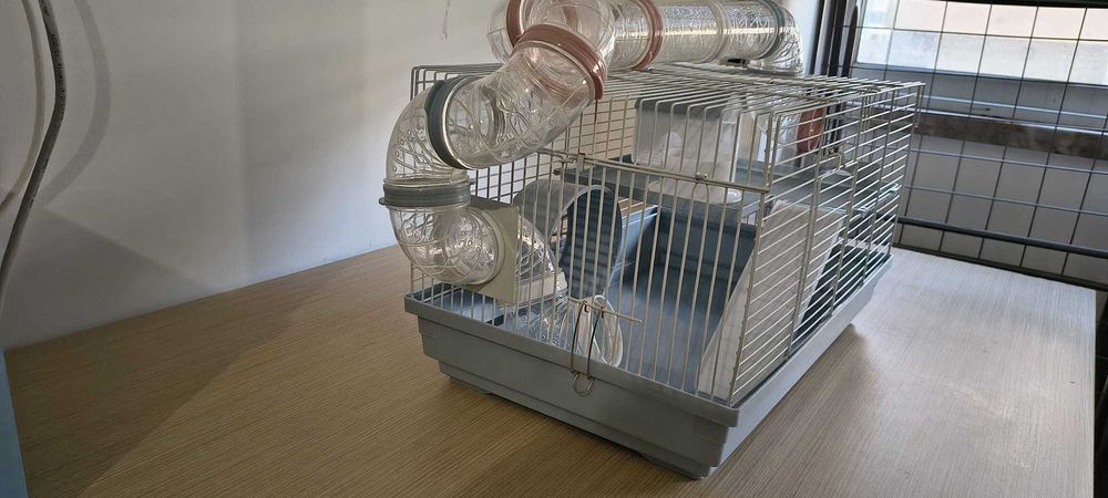 hamster - gaiola impecável + extras