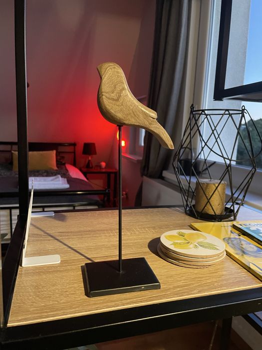 Apartament Loft  103  do wynajecia