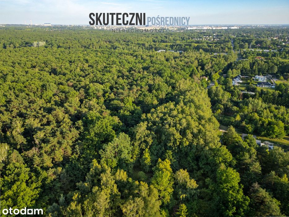 Działka przy Lesie w Łodzi!