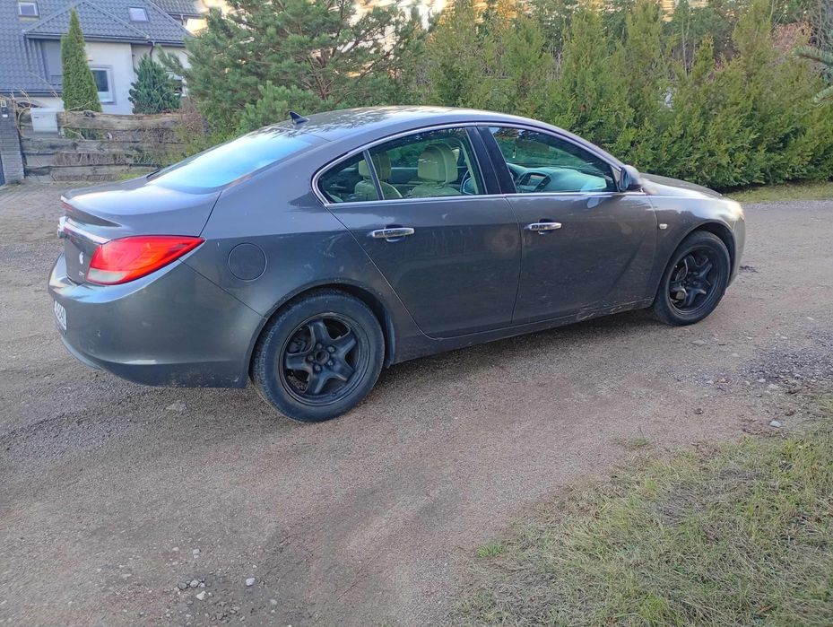 Opel Insignia w dieslu
