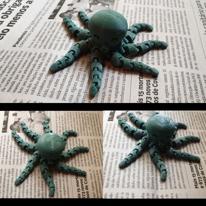 Animais articulados - Tubarao / Tubarao Martelo / Polvo / Camaleao