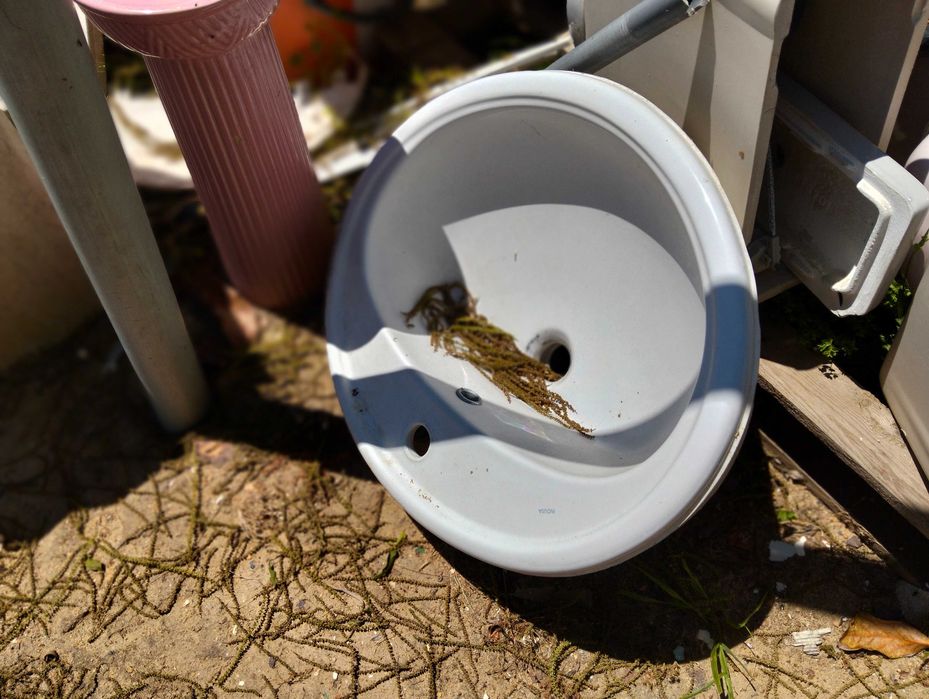 Lavatórios e pedras