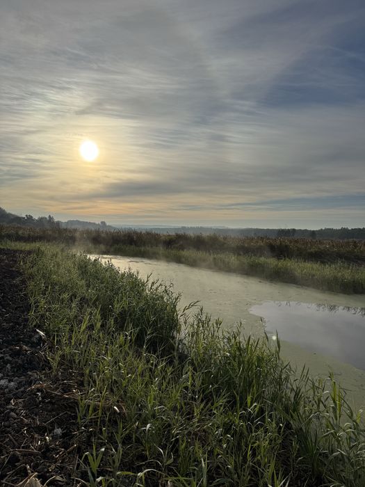 Подобова оренда будинків  з чанами!У нас тепло    і є світло!!