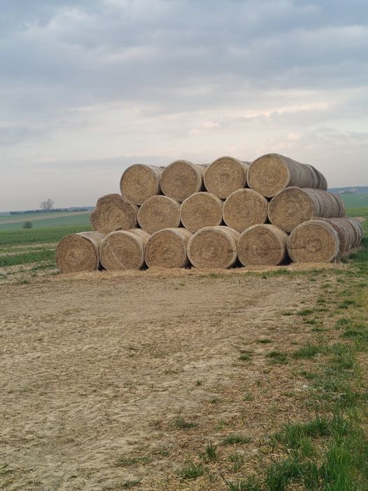 Sprzedam  słomę baloty