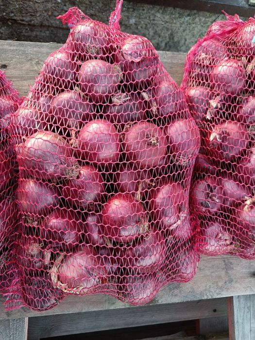 Cebula czerwona 1kg