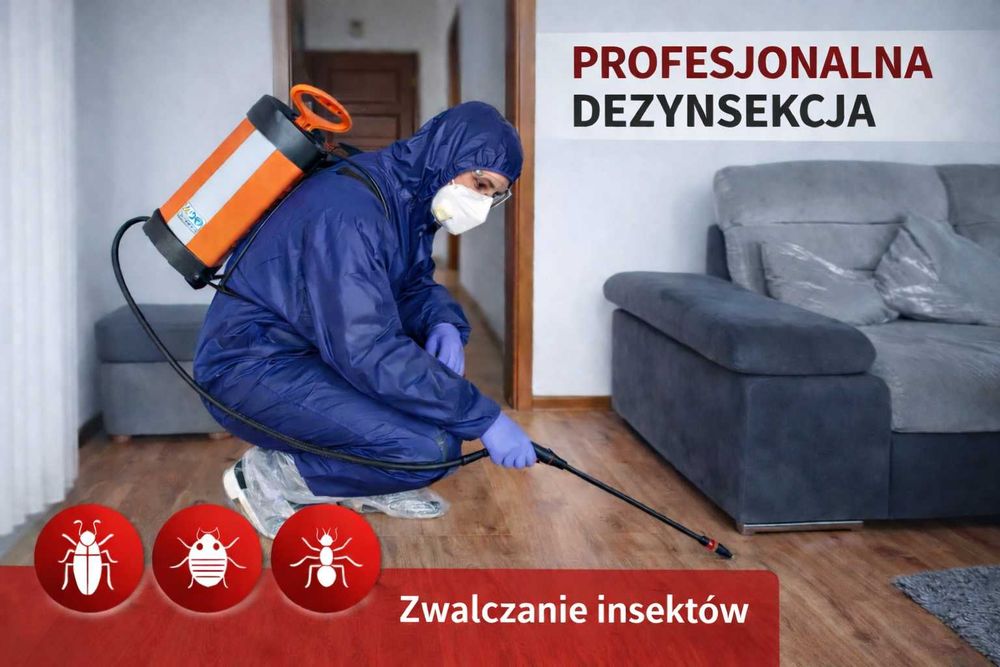Usługi DDD Dezynsekcja Deratyzacja Dezynfekcja HACCP