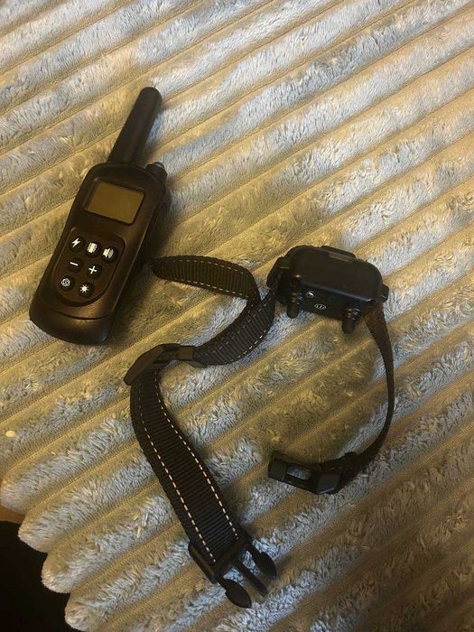 Електронашийник для дресирування собак