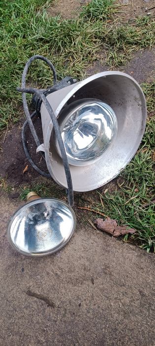 Lapa grzewcza do hodowli pisklat