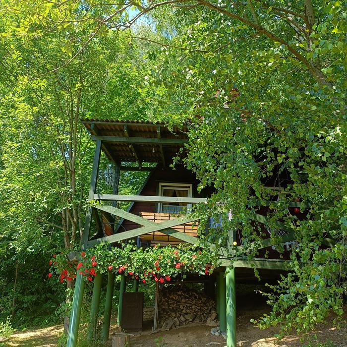 Noclegi w Bieszczadach,domek w Bieszczadach