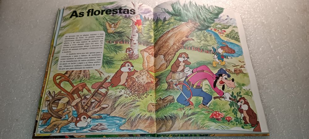 Raro livro Walt Disney de 1983 tiragem de 15000 exemplares