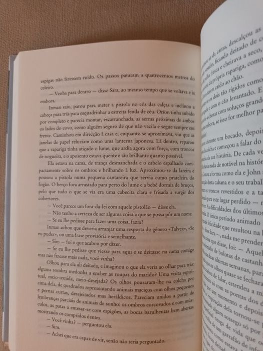 Cold mountain, de Charles Frazier