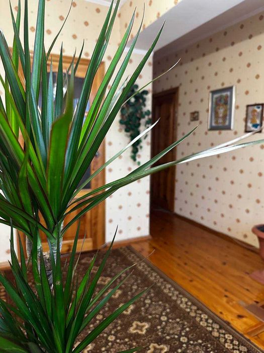 Дом по адресу ул. Китобойная (площадь 160 м²) - Atlanta.ua - фото 19