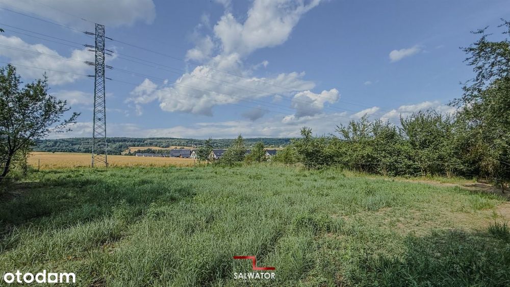Działka 24,5 ar Żbik Krzeszowice