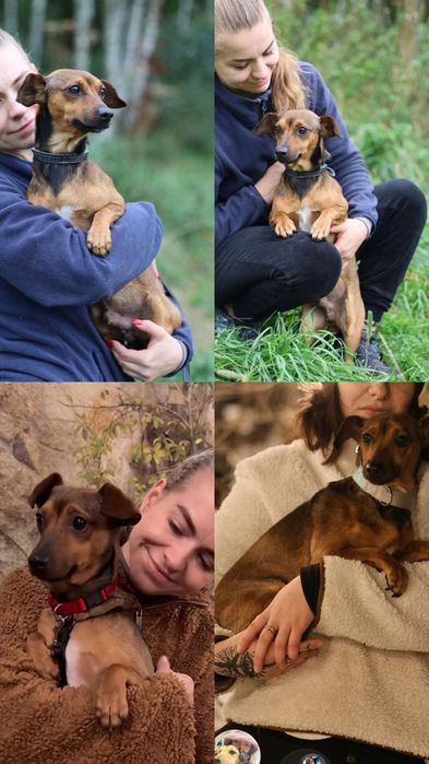 5kg samiec do adopcji