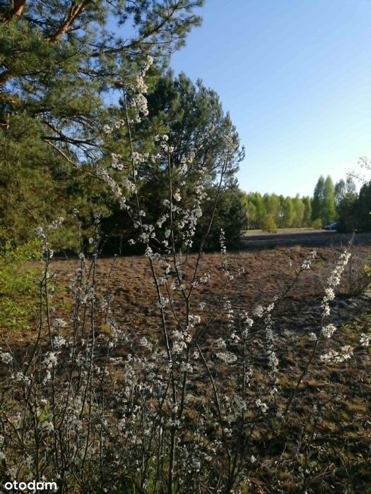 Sprzedam piękną działkę, 3000m z WZ