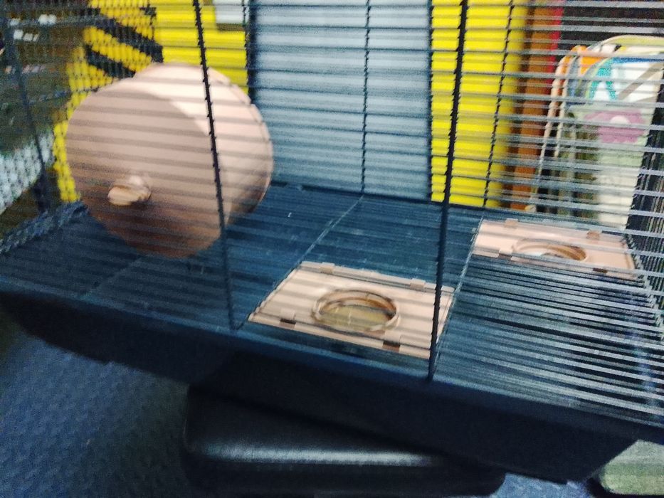Gaiolas hamster usadas