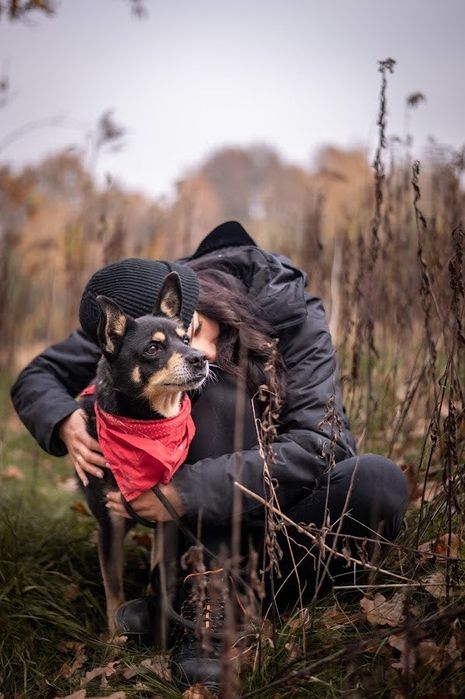 Czarny, superowy kundelek!Charakterny i oddany.Adopcja psa w potrzebie