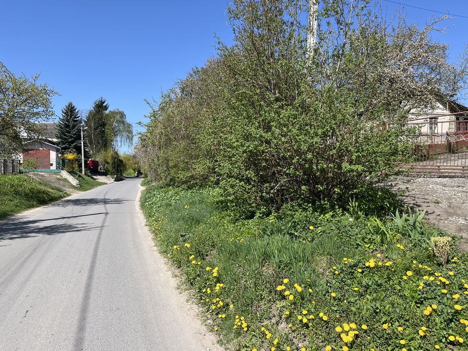 Будинок з земельною ділянкою 12.3 сотих с.Петриків