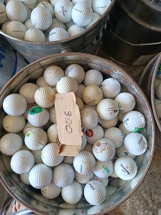 Vendo 1650 bolas de golfe