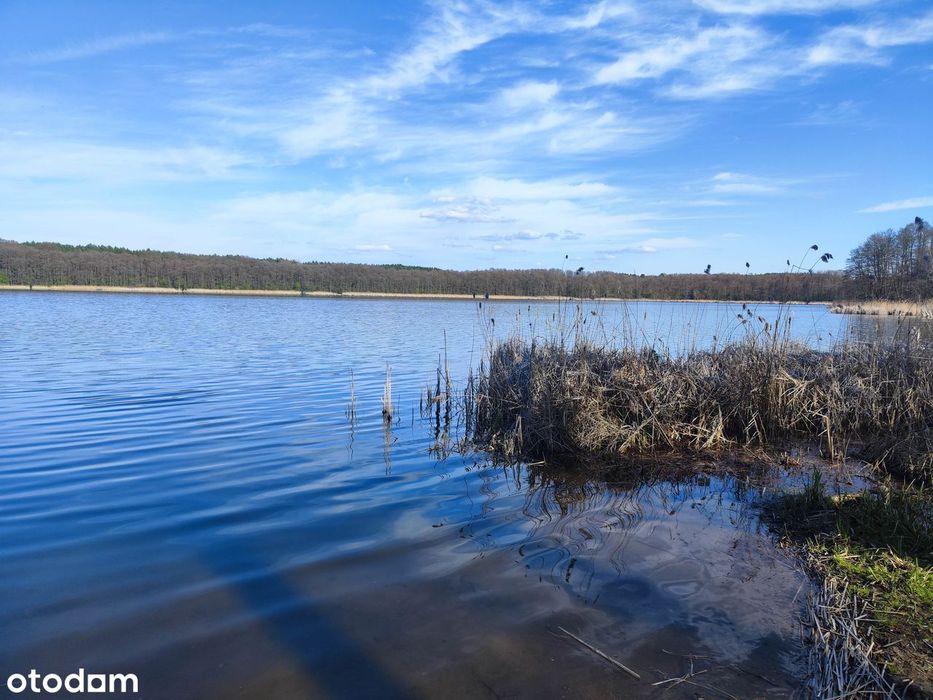 Słoneczna enklawa nad Jeziorem Lgińskim Małym – 1000m2, jezioro, las